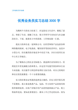 优秀业务员实习总结3000字.doc