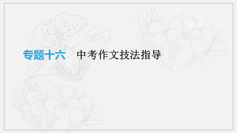 云南省2019年中考语文总复习写作专题16中考作文技法指导课.pptx_第1页