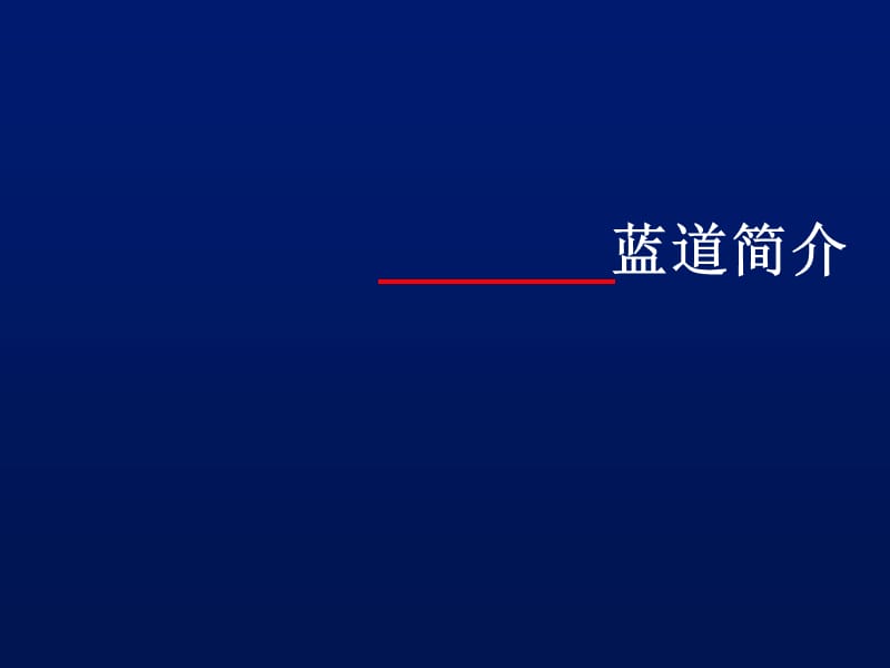 蓝道-拼牌休闲服品牌规划建议.ppt_第2页