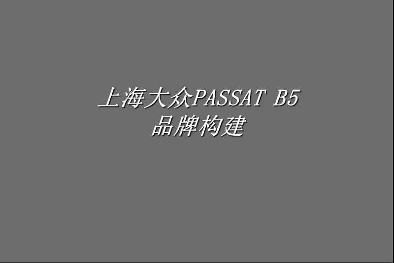 上海大众PASSATB5品牌构建.ppt_第1页