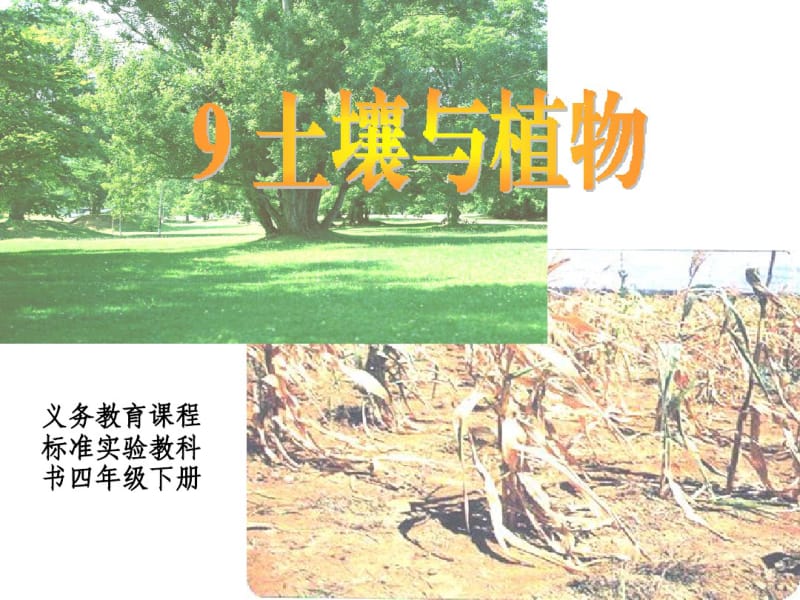 青岛版小学科学四年级下册《土壤与植物》精品课件.pdf_第1页