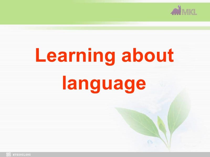 选修七 3.2《Unit 3　Learning about language》PPT课件 .ppt_第2页