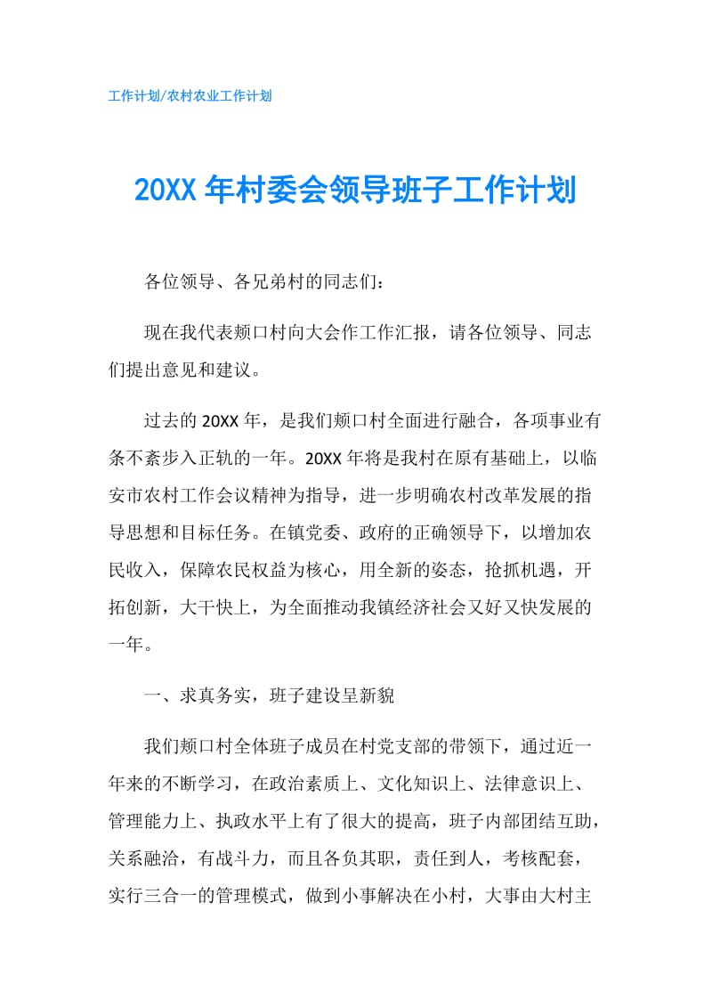 20XX年村委会领导班子工作计划.doc_第1页