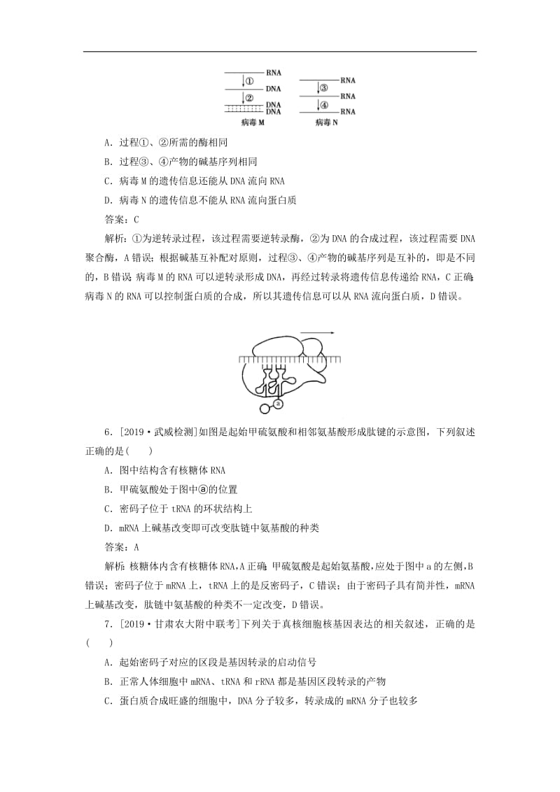 2020版高考生物一轮复习全程训练计划课练14基因的表达含解析.pdf_第3页