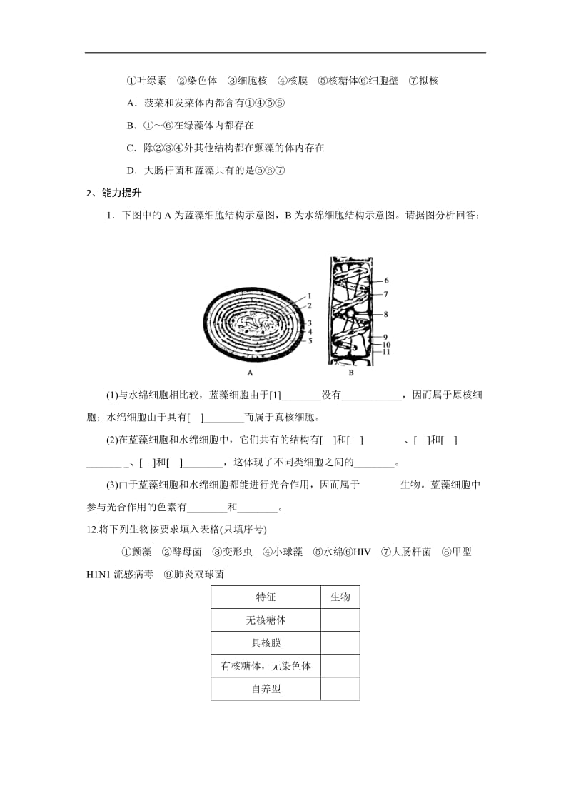 江西省吉安县第三中学高中生物必修一：1.2.2细胞的多样性与统一性日日清 .doc_第3页
