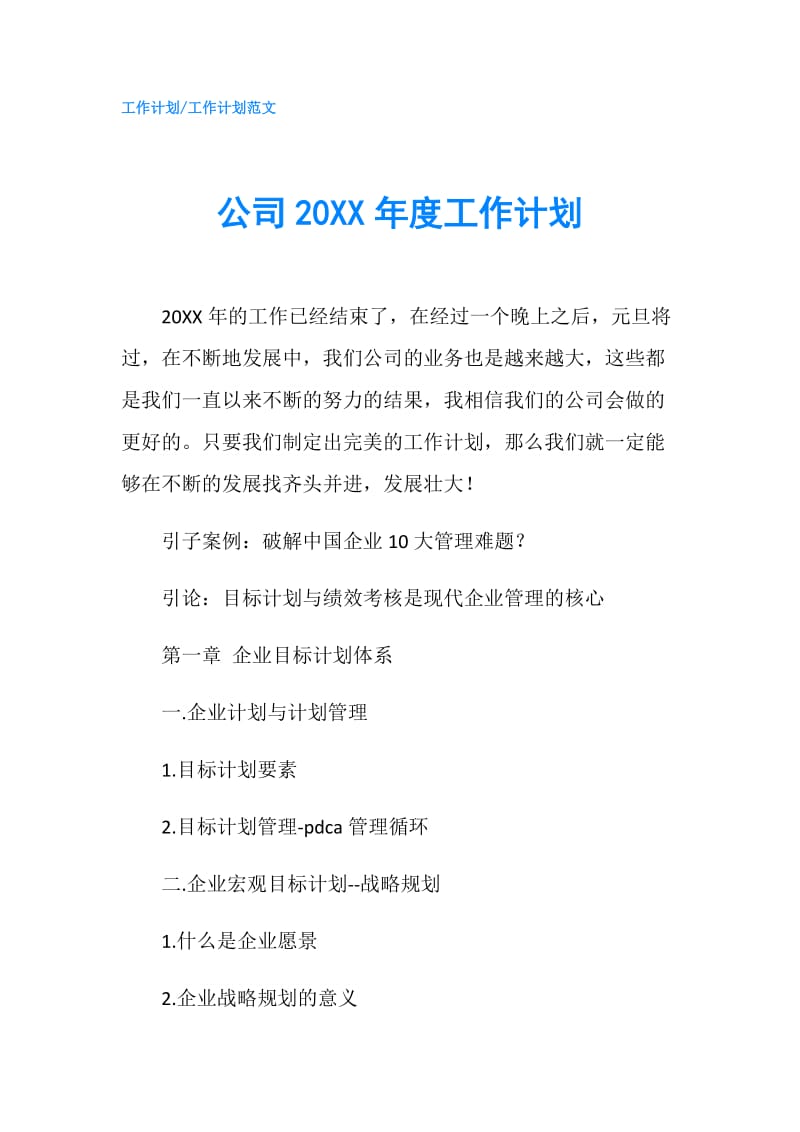 公司20XX年度工作计划.doc_第1页