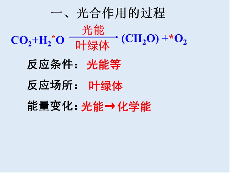 广东省惠州市江南学校人教版高中生物必修一课件：5.4能量之源——光与光合作用 （共13张PPT）.ppt_第3页