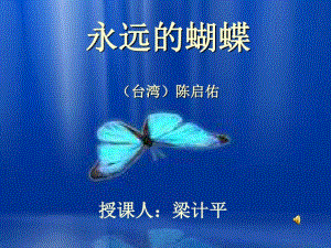 永远的蝴蝶1分析.pdf