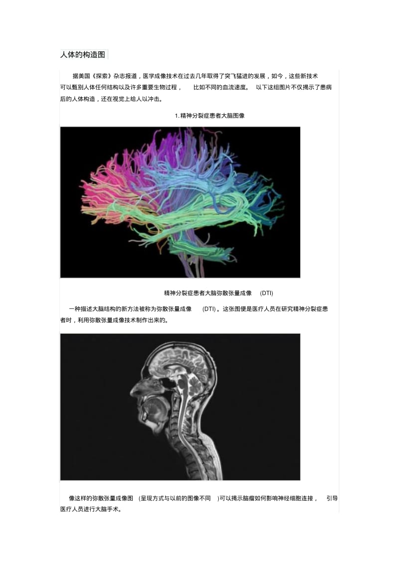 人体的构造图.pdf_第1页