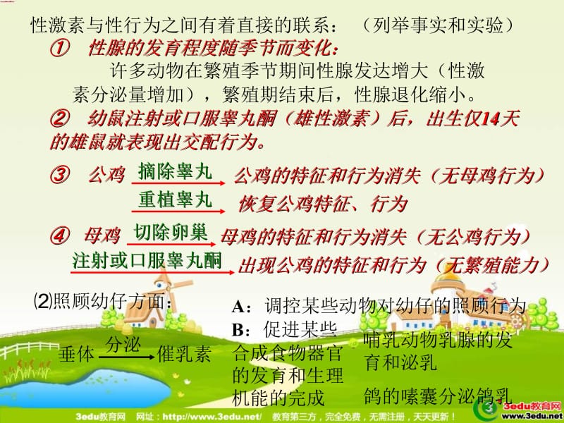 动物行为的生理基础课件.ppt_第3页