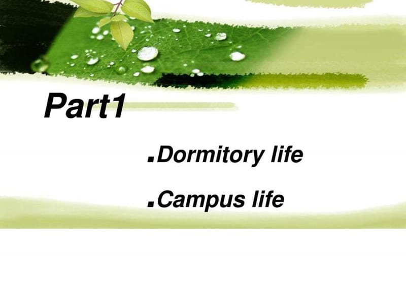 外国大学生在校生活英文PPT.ppt.ppt_第2页