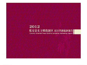 2012年松原市乾安县东方明珠新区项目营销策划报告 (2).ppt