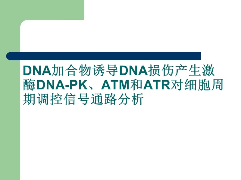 DNA加合物诱导DNA损伤产生激酶DNA-PK、ATM和ATR对细胞周期调控信号通路分析.ppt_第1页