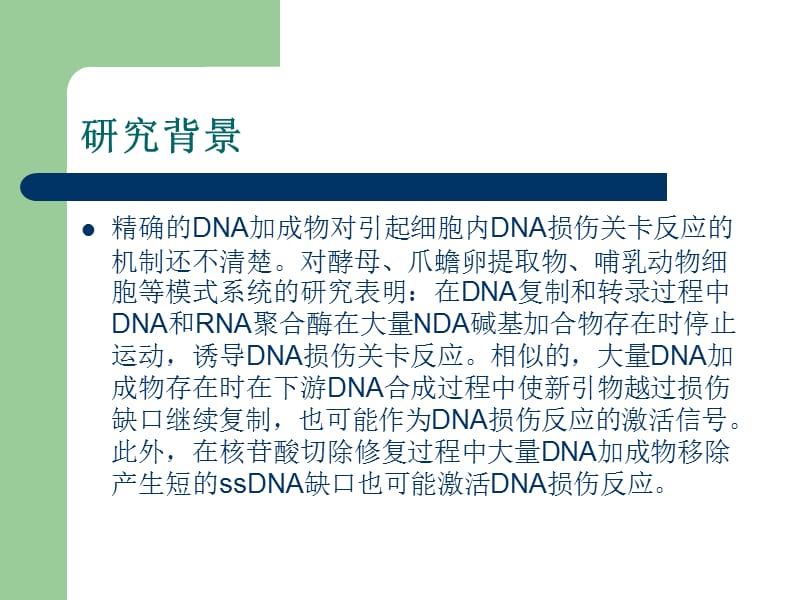 DNA加合物诱导DNA损伤产生激酶DNA-PK、ATM和ATR对细胞周期调控信号通路分析.ppt_第3页