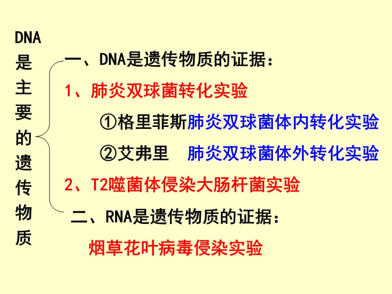 DNA是主要遗传物质t.ppt_第2页