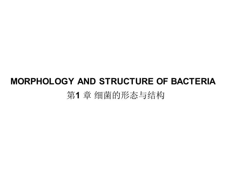 第1章细菌的形态与结构.ppt_第1页