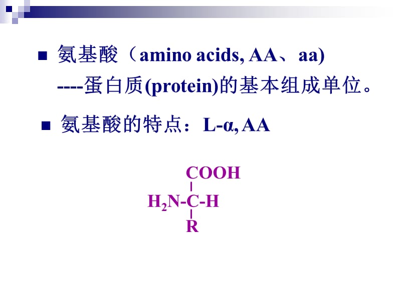 chap.07.氨基酸(20121031).ppt_第3页