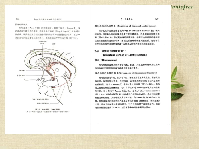 DUUS神经系统疾病定位诊断学07.08-边缘系统、基底神经节.ppt_第2页