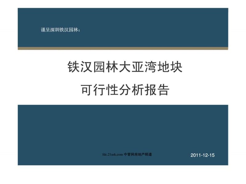 2007年深圳市铁汉园林大亚湾地块可行性分析报告.ppt_第1页