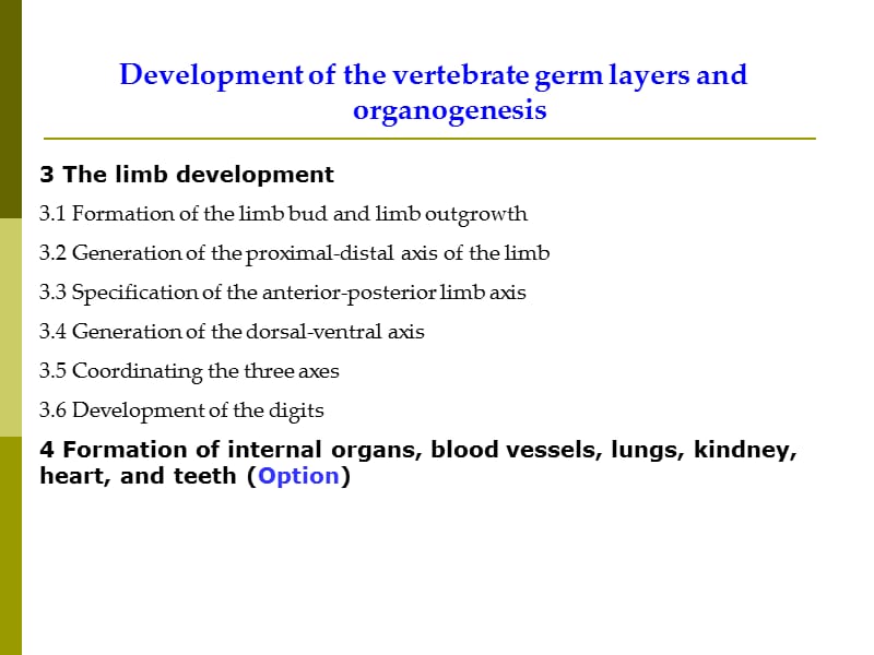 VI 胚层发育与器官系统发生(I).ppt_第3页
