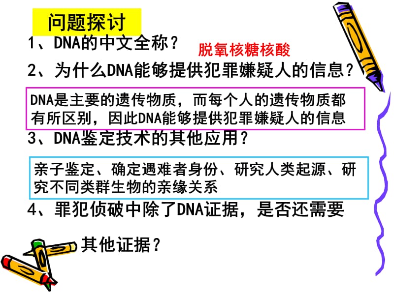 第3节遗传信息的携带者-----核酸.ppt_第2页