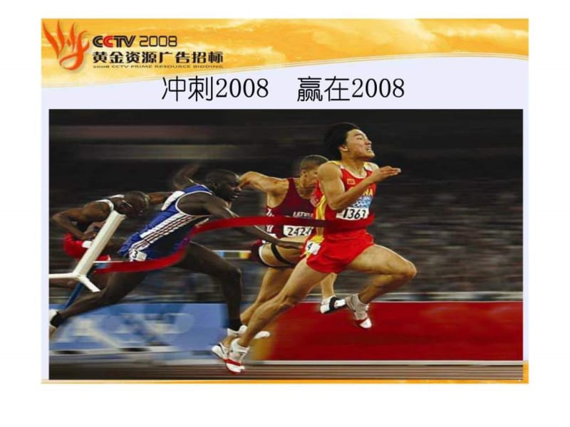 中央电视台2008广告招标文案.ppt_第3页