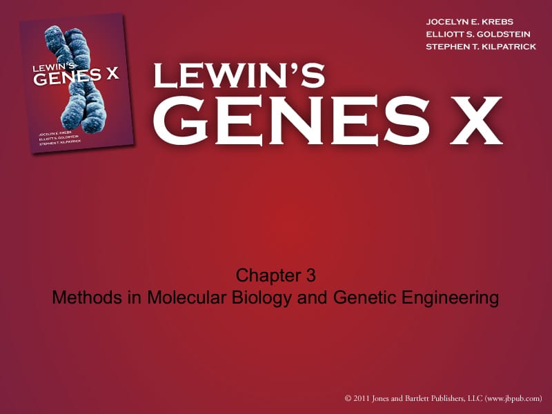 分子生物学（双语）3 Methods in Molecular Biology and Genetic Engineering.ppt_第1页