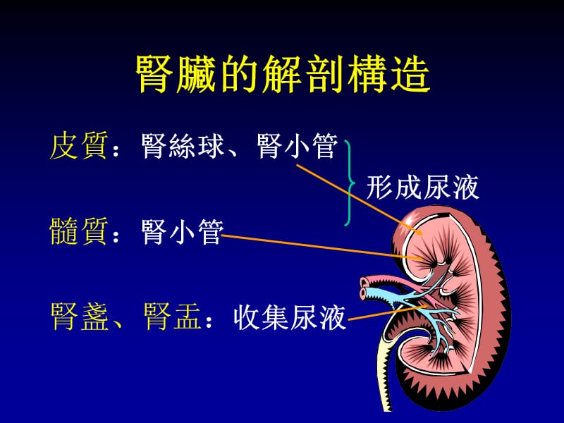 蛋白尿谈肾脏保健课件.ppt_第3页