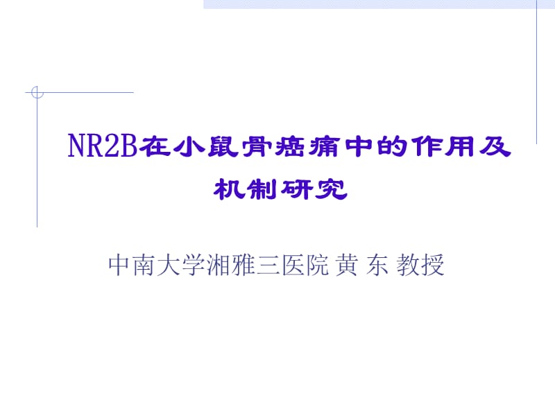 NR2B在小鼠骨癌痛中的作用及机制研究(黄东).ppt_第1页