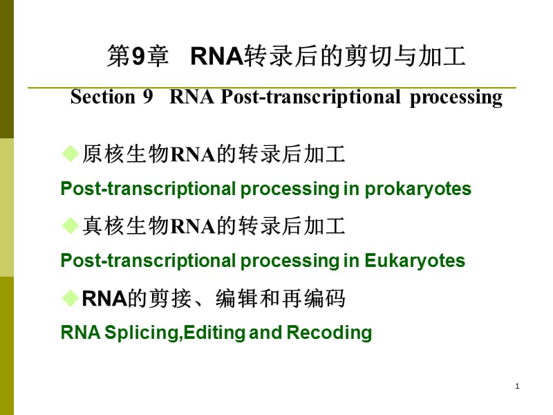 RNA转录后的剪切与加工.ppt_第1页