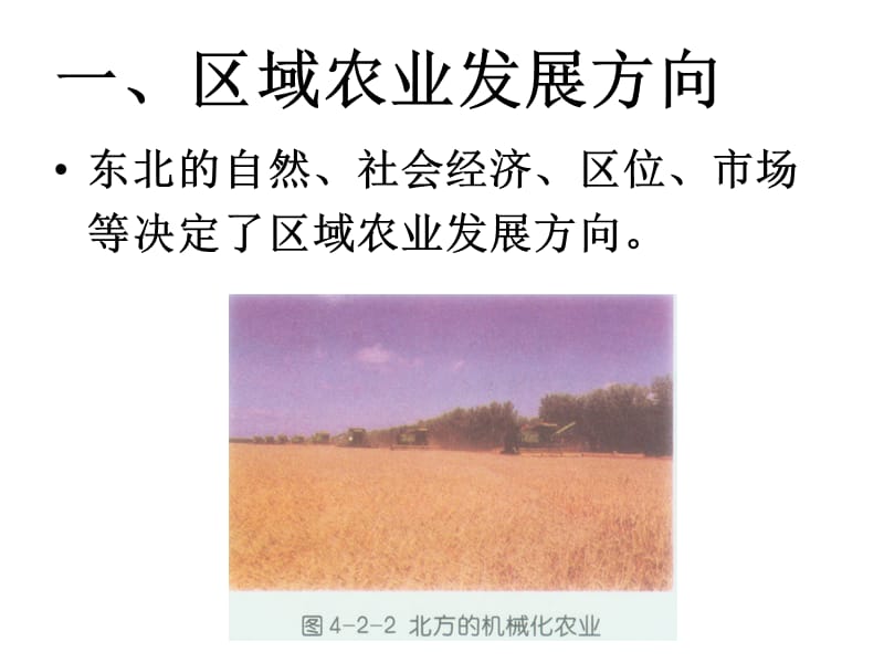 04-1区域农业发展课件.ppt_第3页