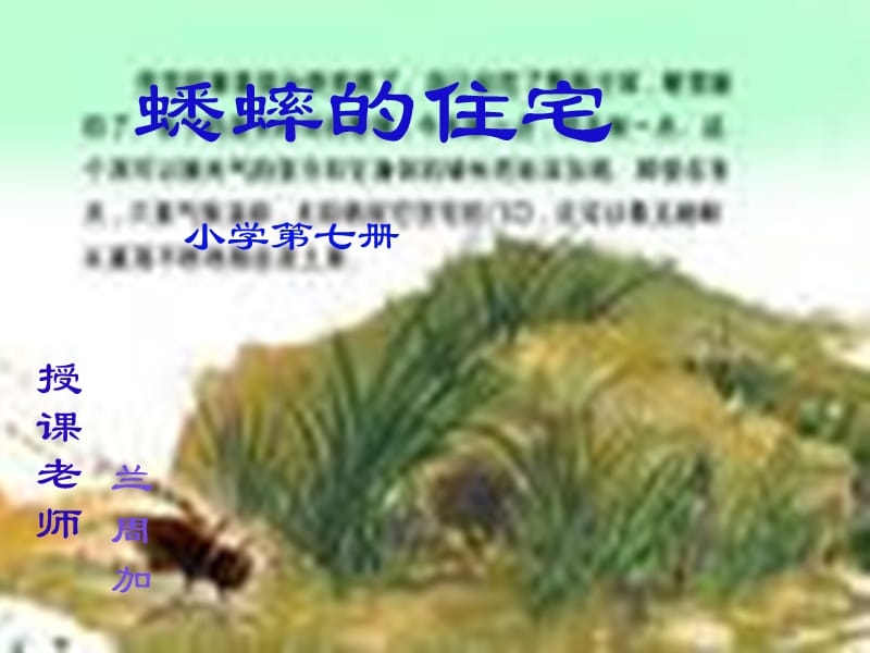 xishuaidezhuzhai2.ppt_第1页