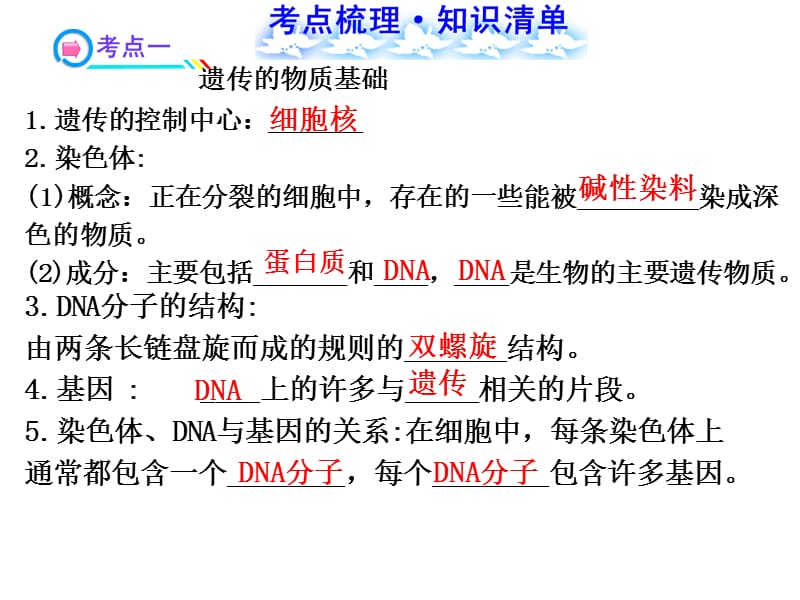 八年级生物遗传与变异复习课件.ppt_第2页