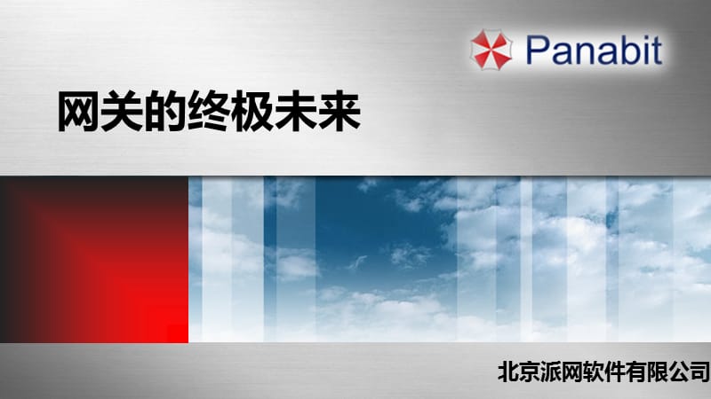 Panabit技术讲解.共享检测.ppt_第1页