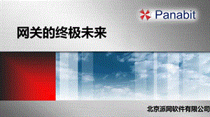 Panabit技术讲解.共享检测.ppt