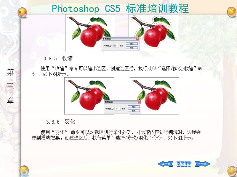 photoshopcs5标准培训课程-对已建选区的调整.ppt_第3页