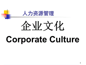 HR人力资源管理第10章cooperateculture.ppt