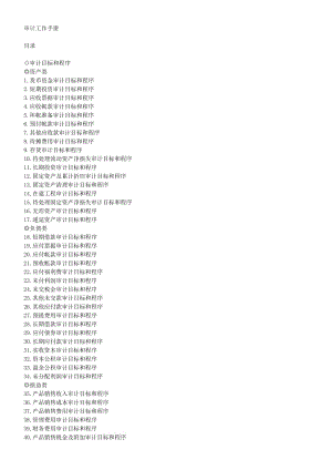 财务审义计手册.doc