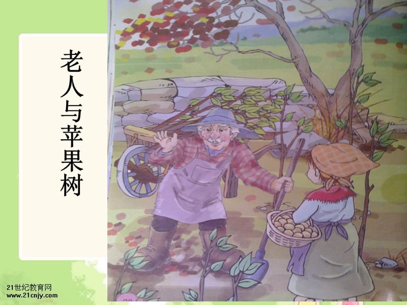 (西师大版)一年级语文下册课件老人与苹果树.ppt_第3页