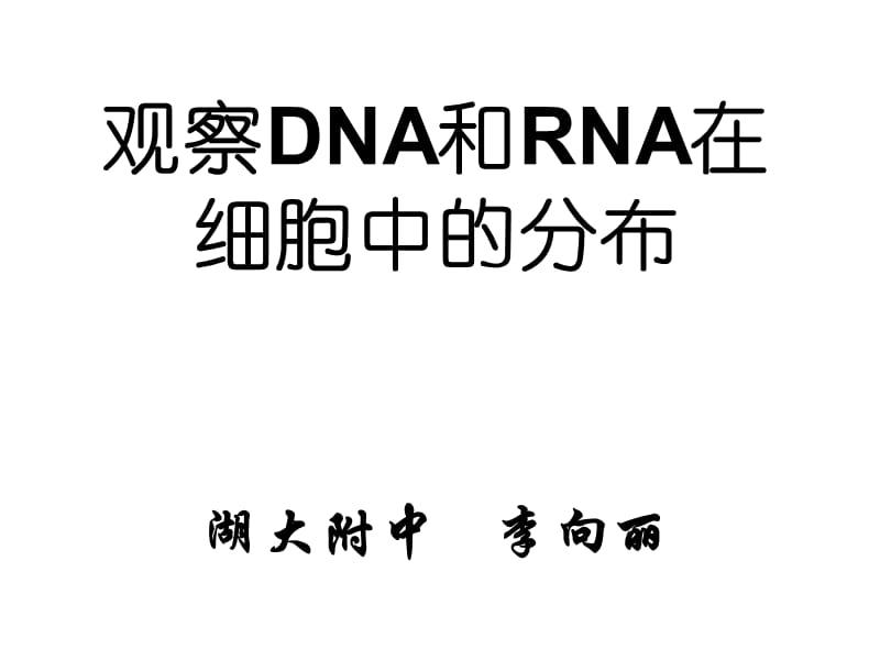 生物：《观察DNA和RNA在细胞中的分布》课件(新人教版必修1).ppt_第1页