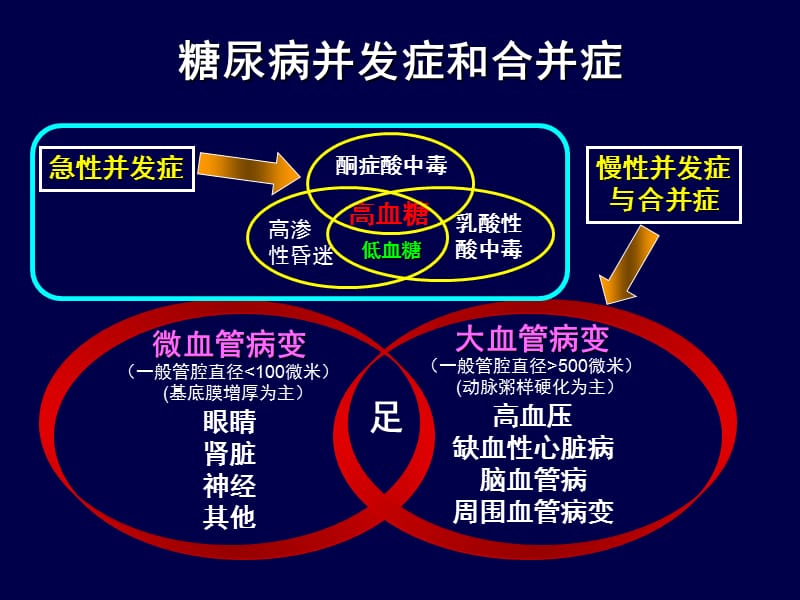 糖尿病急性并发症的抢救.ppt_第2页