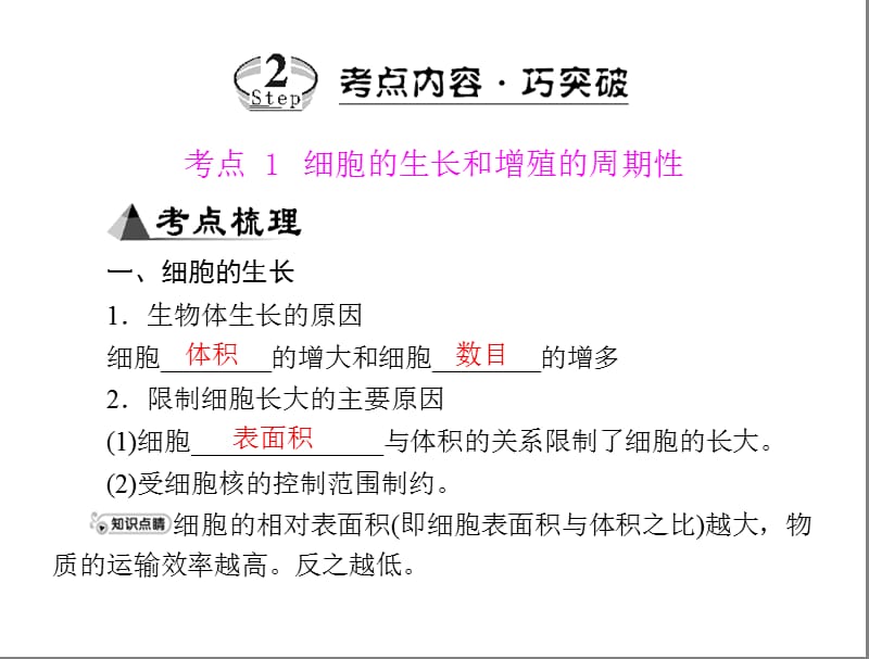 专题四考点1细胞的生长和增殖的周期性.ppt_第2页