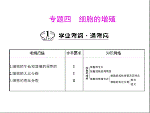 专题四考点1细胞的生长和增殖的周期性.ppt