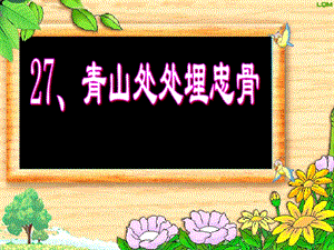 《青山处处埋忠骨》ppt课件2.ppt