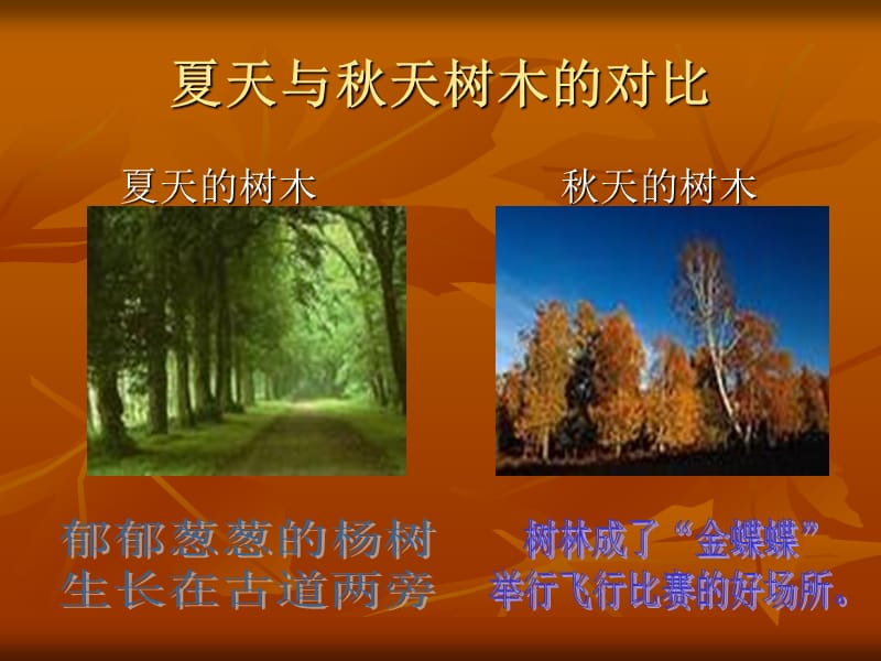 夏天与秋天的树叶对比.ppt_第2页