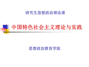 中国特色社会主义理论与实践第3讲.ppt