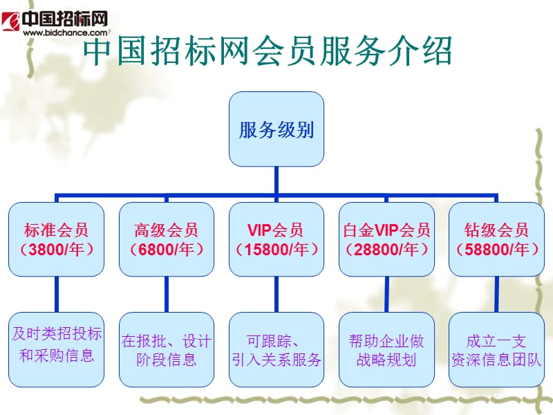 中国招标网服务价值级别介绍.ppt_第1页