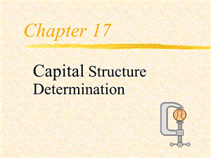 财务管理ppt英文课件Chapter 17.ppt