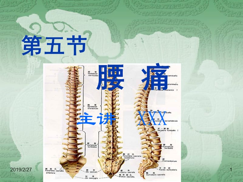 中医内科学--第五节 腰 痛.ppt_第1页