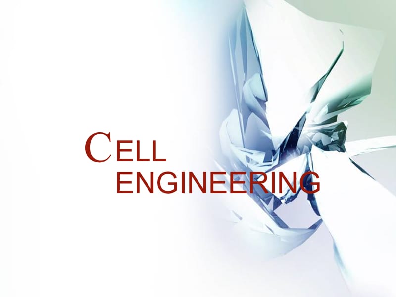 细胞工程2培养细胞常规检查和特性鉴定.ppt_第1页